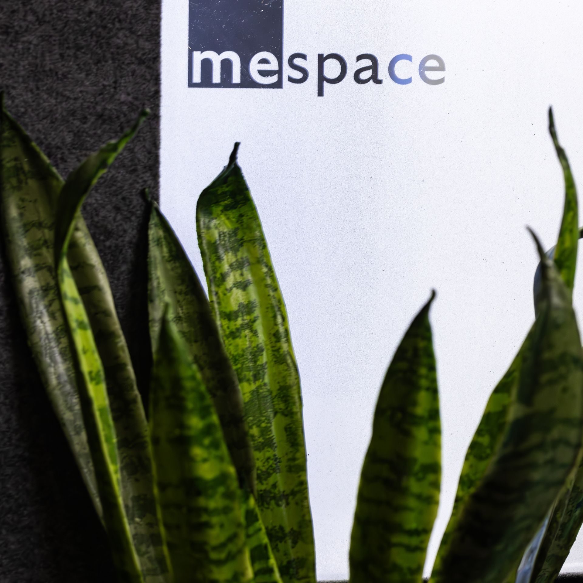 MeSpace Office Series Integrated Biophilic Design - Fosters heightened creativity and concentration within the office environment.